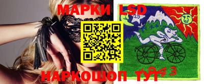 крисы Будённовск