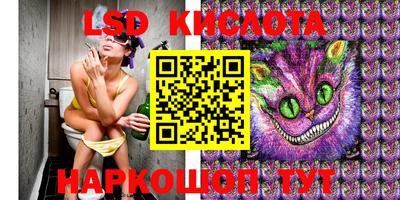 крисы Будённовск