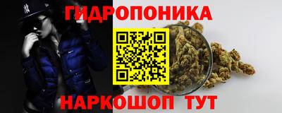 крисы Будённовск