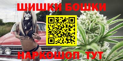 крисы Будённовск