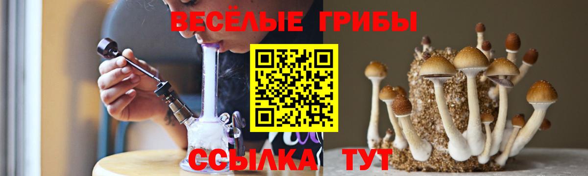 Галлюциногенные грибы прущие грибы  Галлюциногенные грибы Cubensis  Сарапул  Вход с VPN 